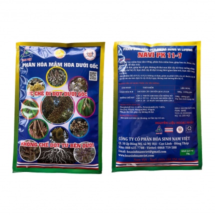 PHÂN HOÁ MẦM HOA CHO MUSANGKING